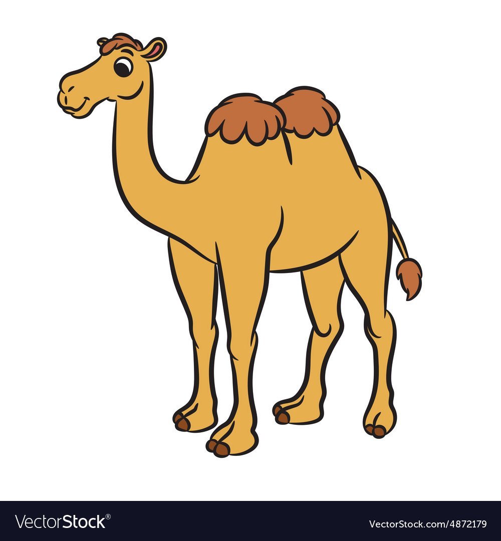 Camel ornate pattern