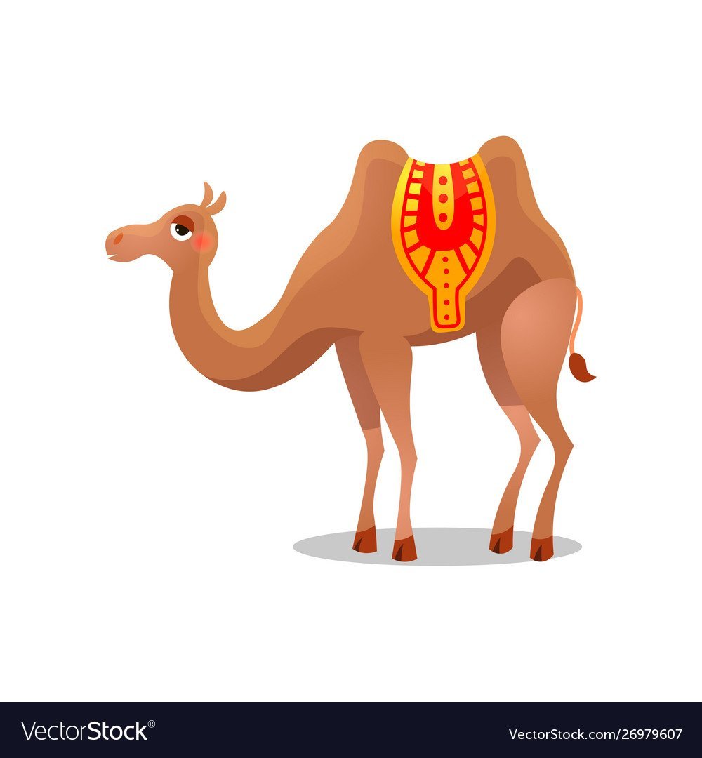 Мультяшный верблюд фон