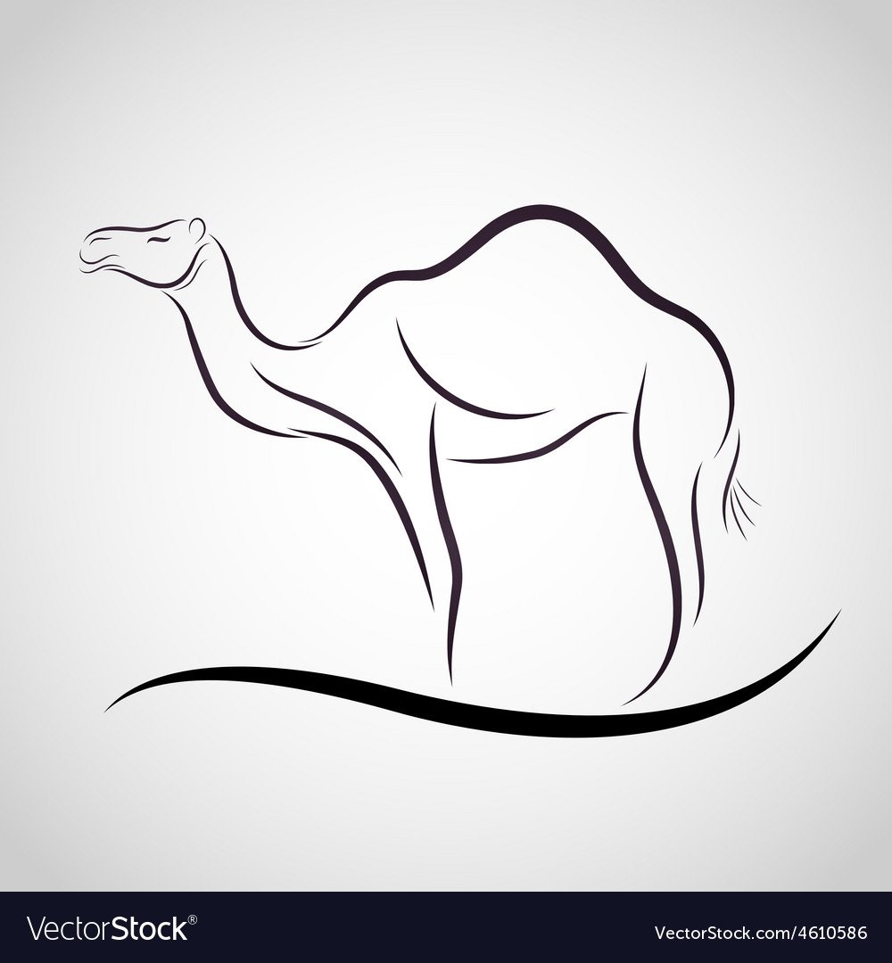 Верблюд в пустыне мультяшный