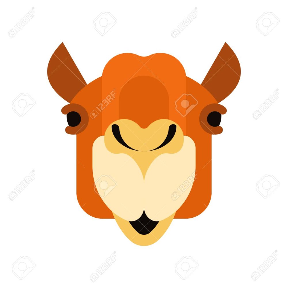 Фон для презентации Верблюды