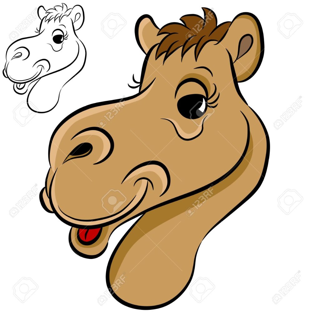 Верблюд нарисованный на белом фоне