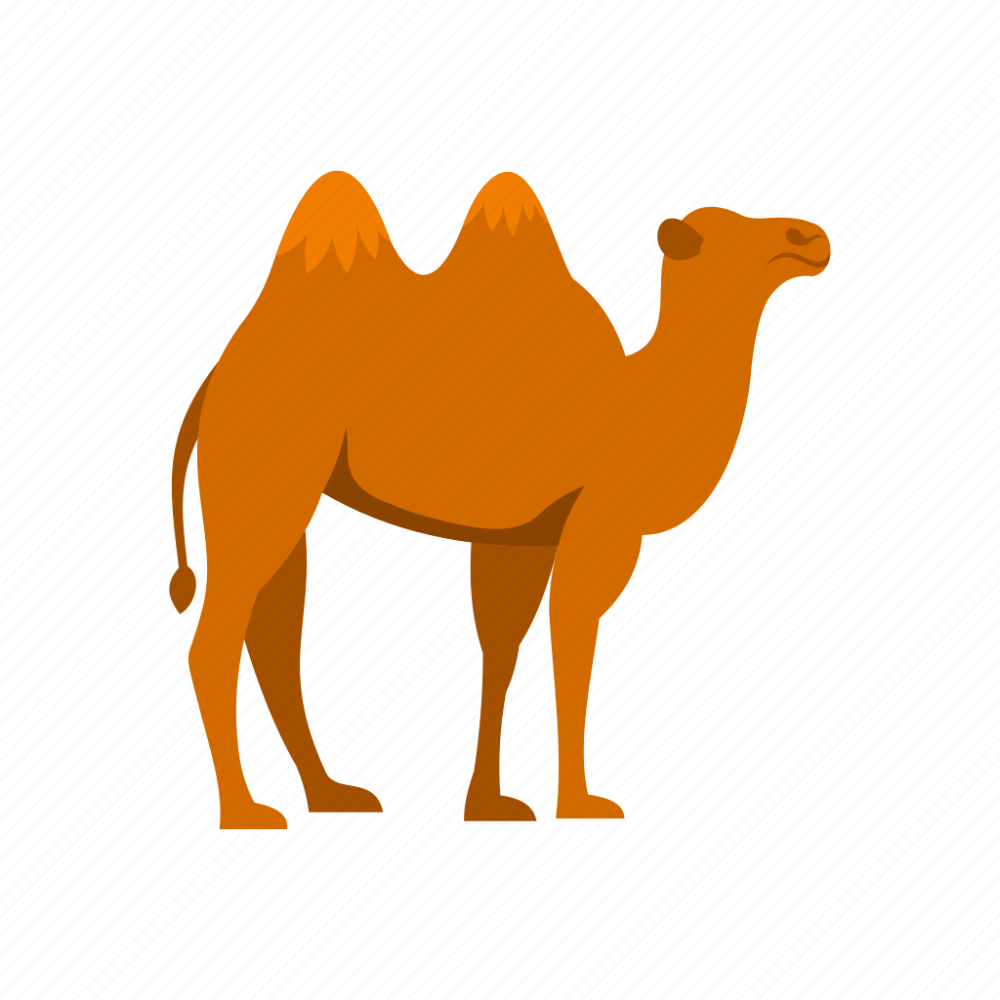 Верблюд PSD