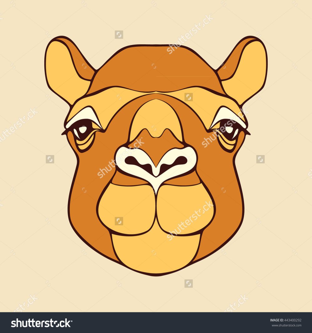 Мультяшные Верблюды