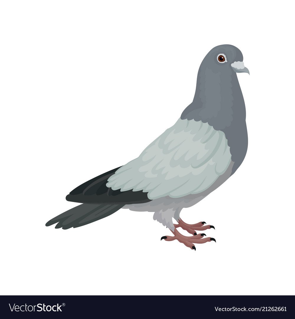 Образ голубя мира