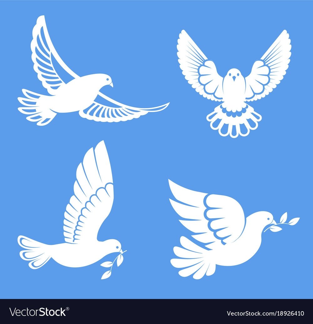 Белый голубь улетает