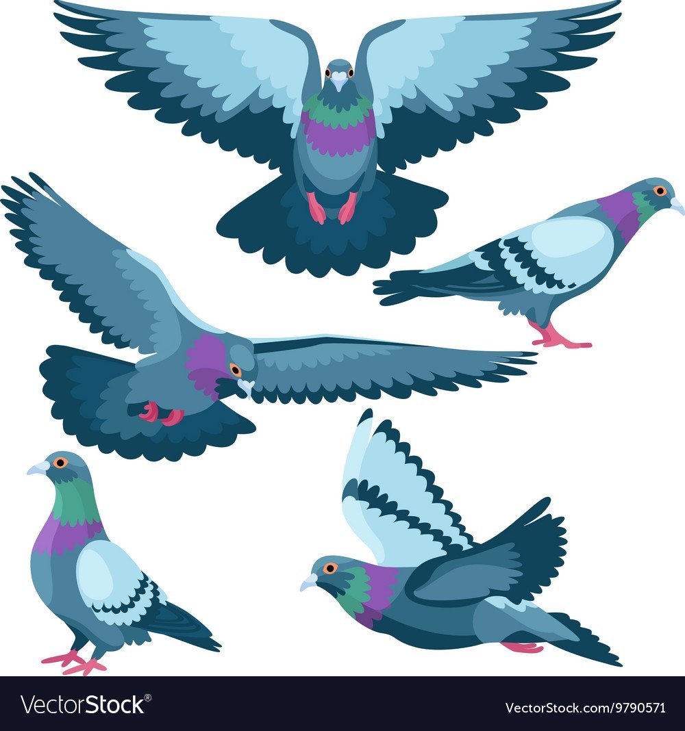 Небо с голубями фон