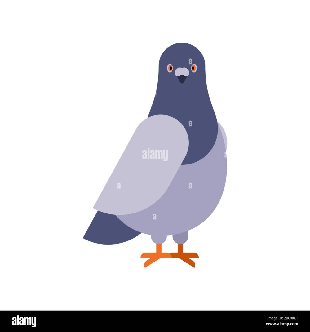 Белый голубь в полете