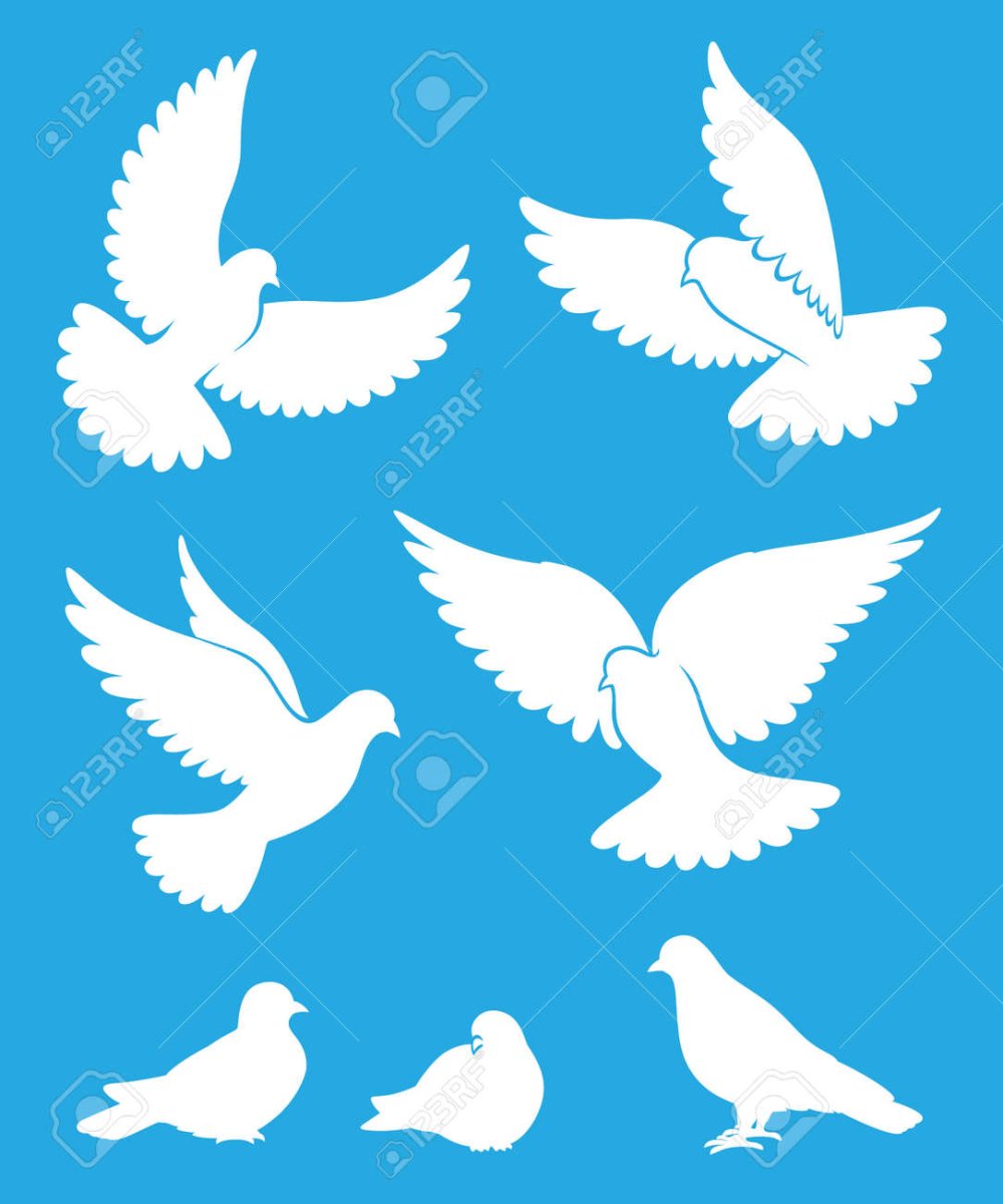 Белые голуби мультяшные