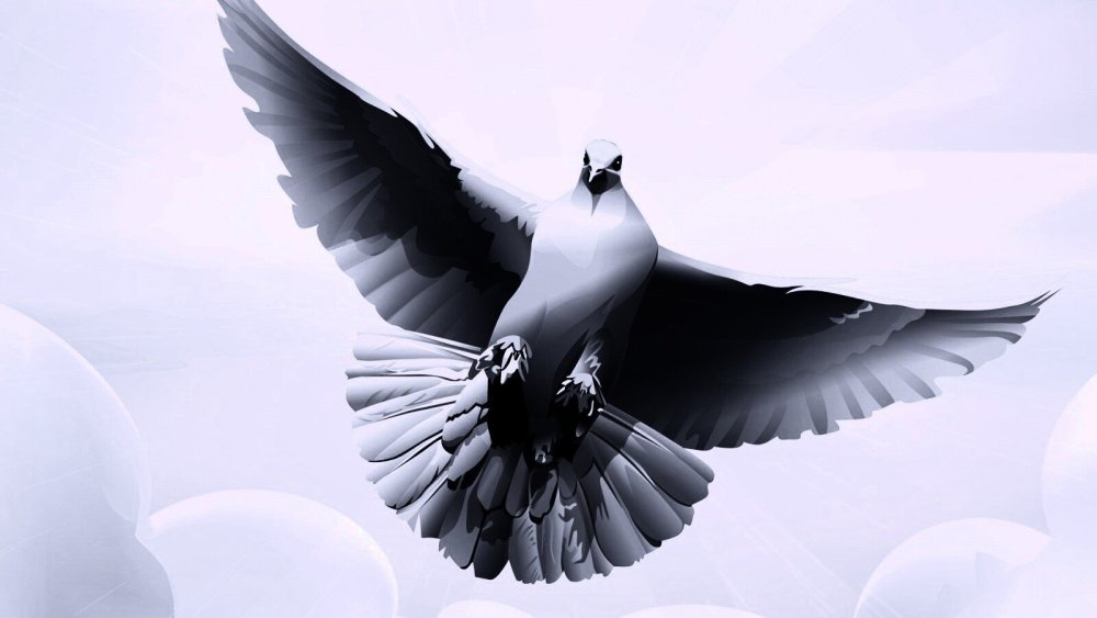 Стилизованное изображение голубя