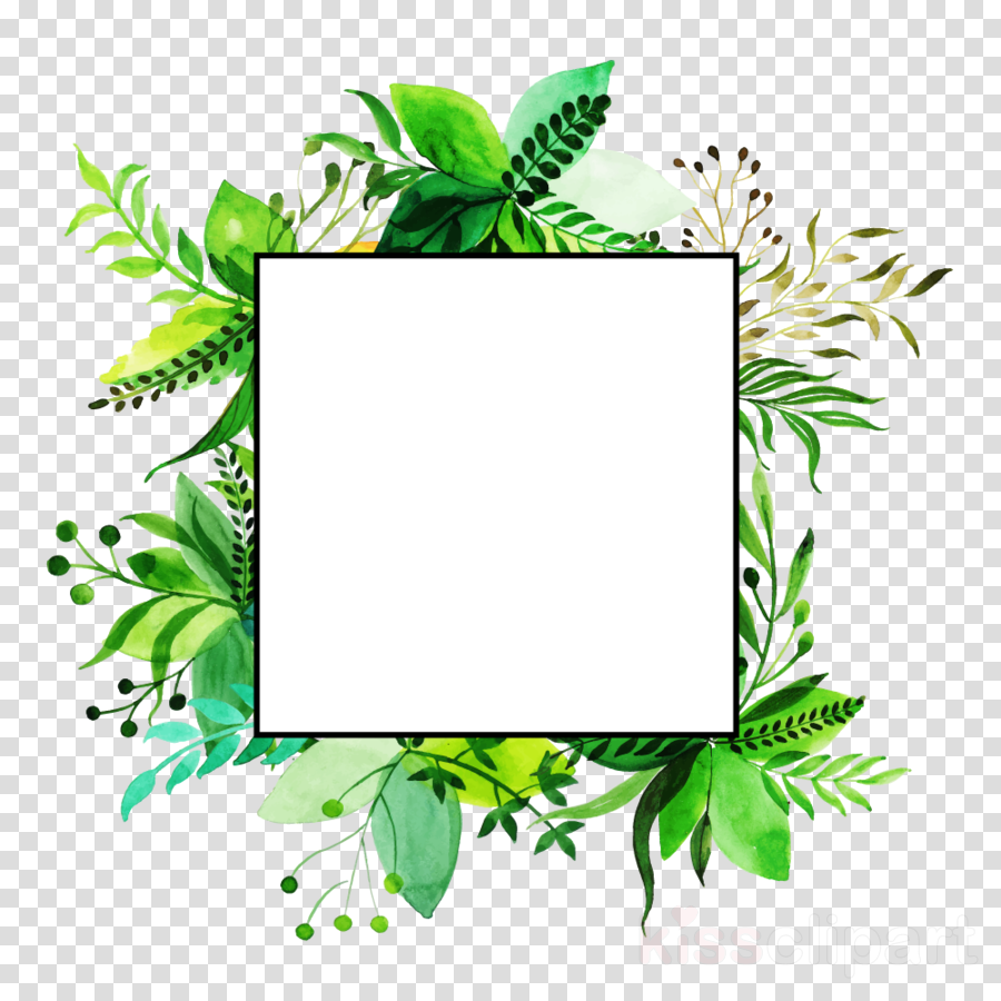 Рамка зелень