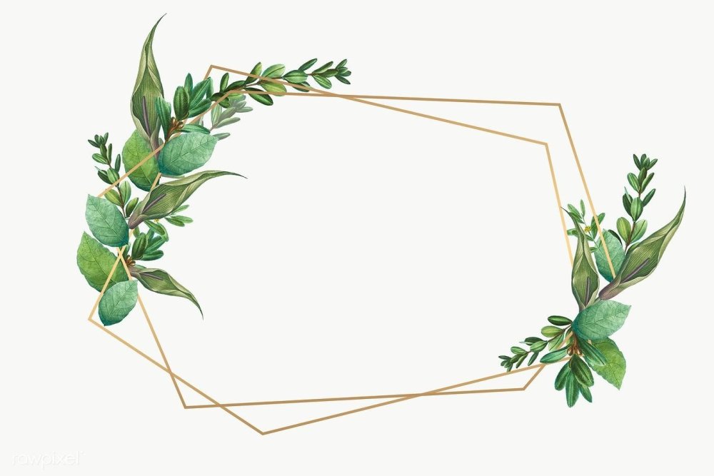 Зелень для пригласительных