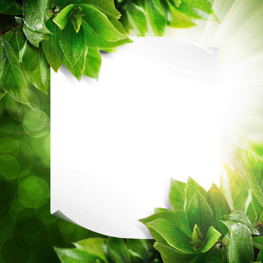 Рамка из растений