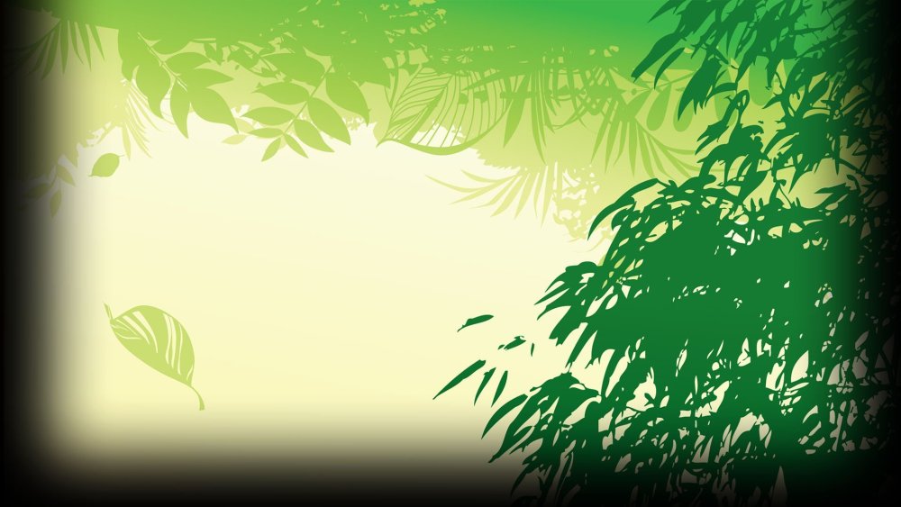 Фон джунгли для фотошопа