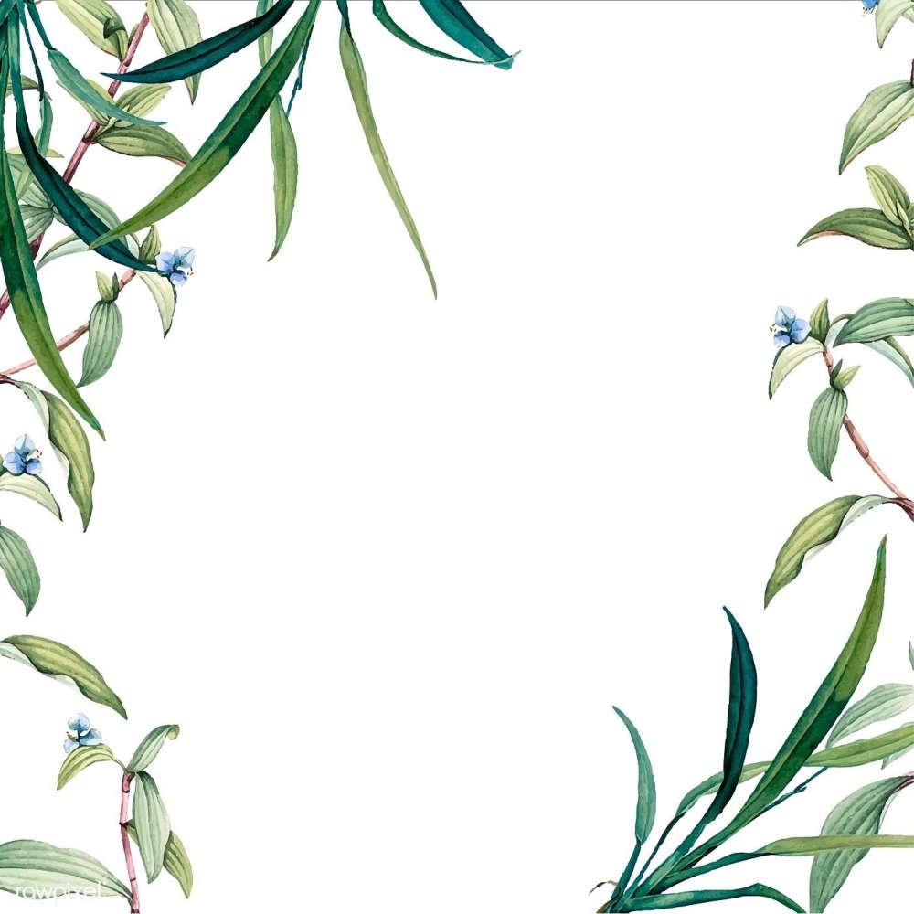 Зелень для пригласительных