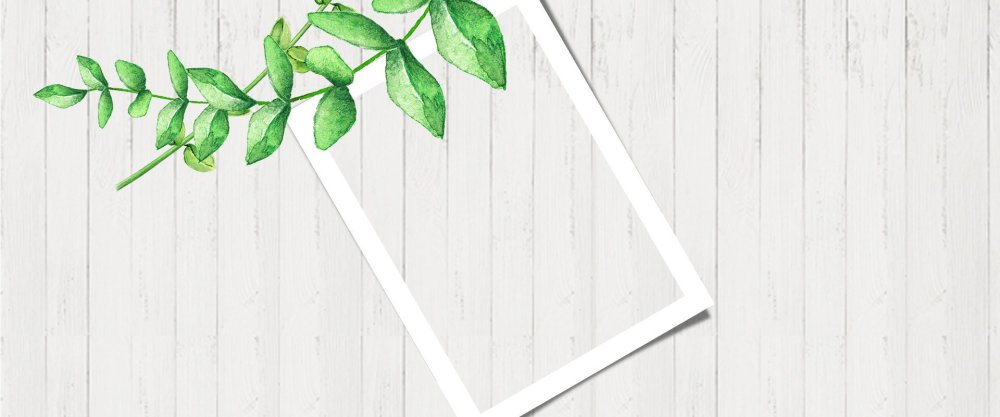 Фотофон бело зеленый