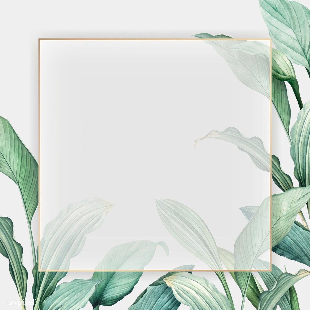 Стильная рамка зелень