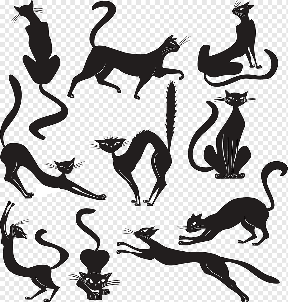 Ориентальная кошка черная