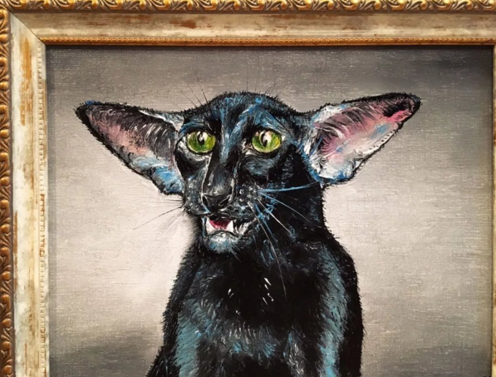 Кот Ориентал вампир