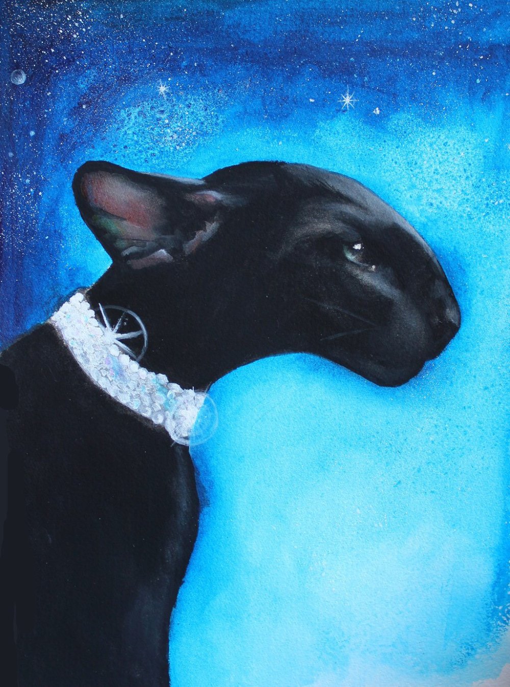 Ориентальная кошка