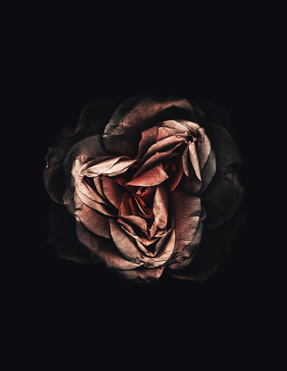 Черный фон Эстетика