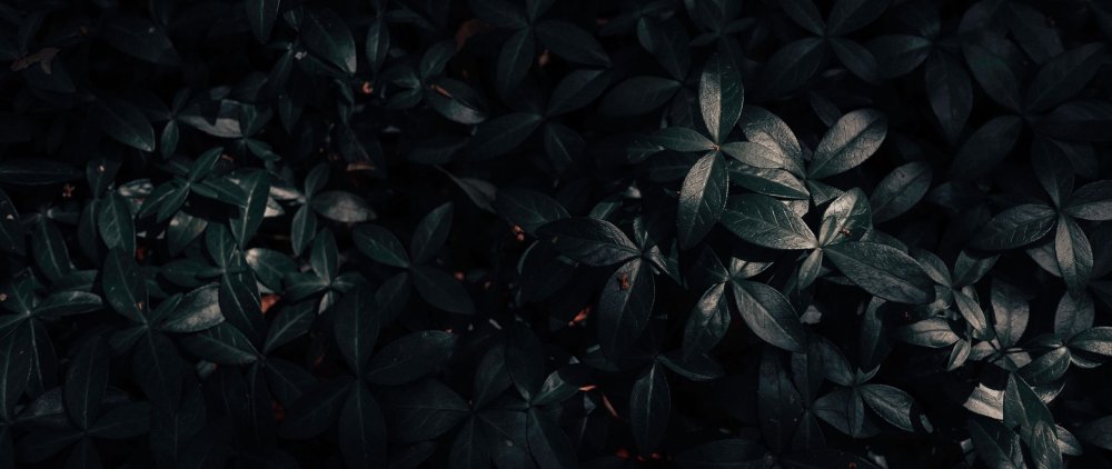 Черные значки для актуального