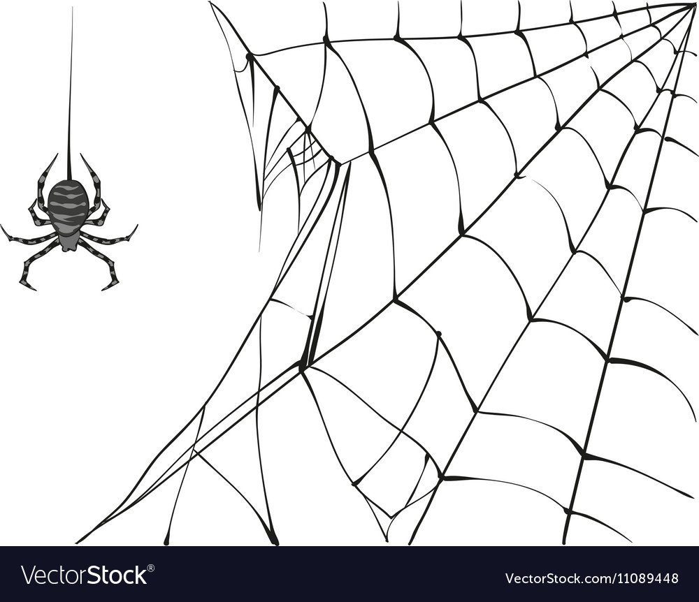 Паутина скетч