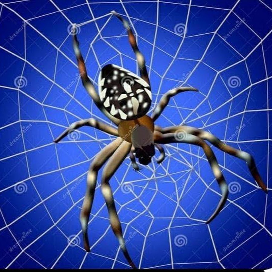 Паутина больших пауков