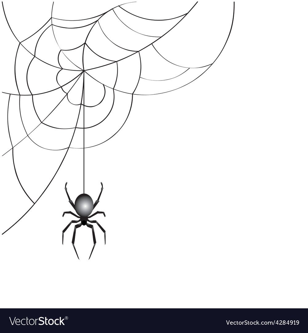 Паук спускается на паутине