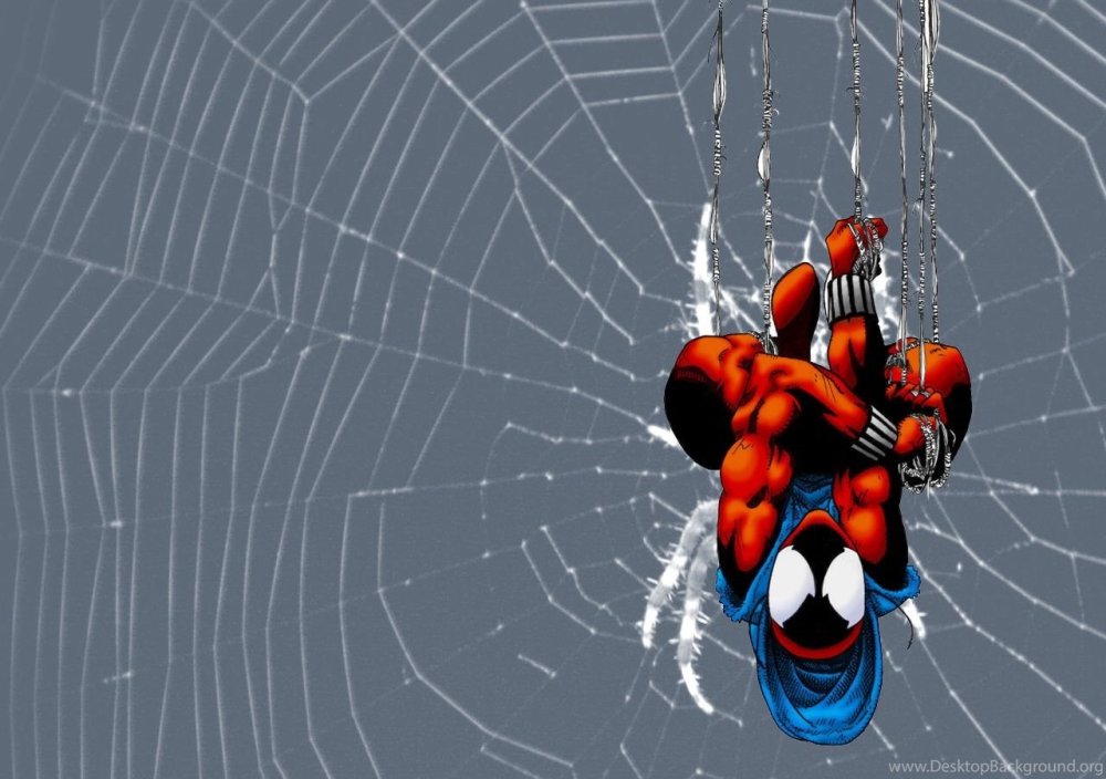 Человек паук на паутине арт
