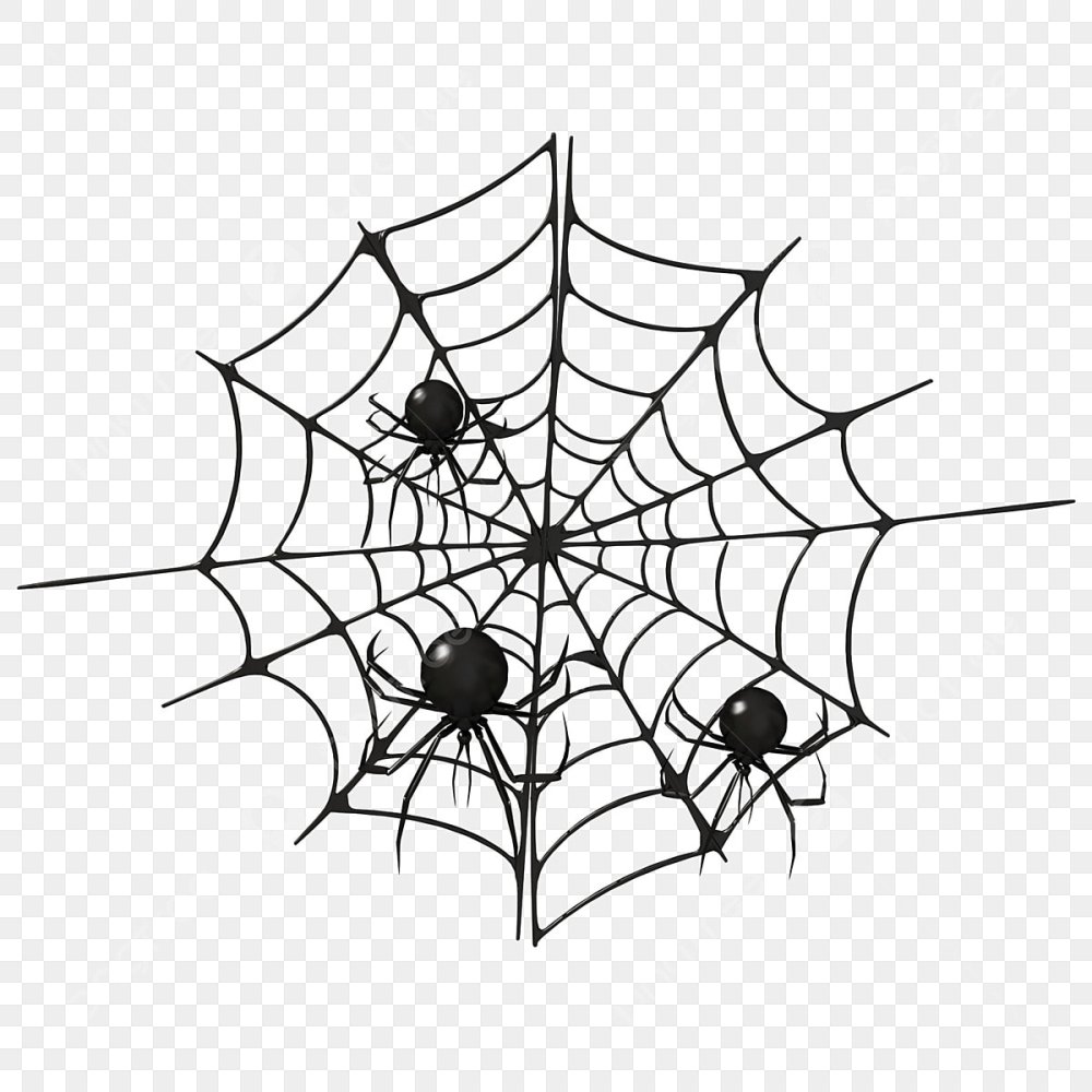 Маленький паучок на паутинке