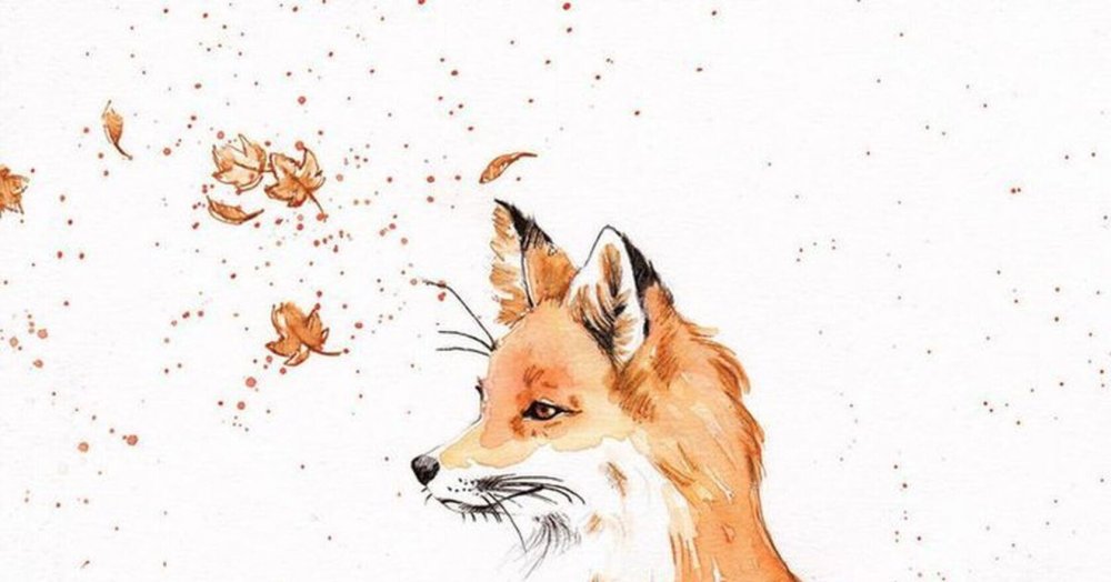 Фоновые обои с лисами