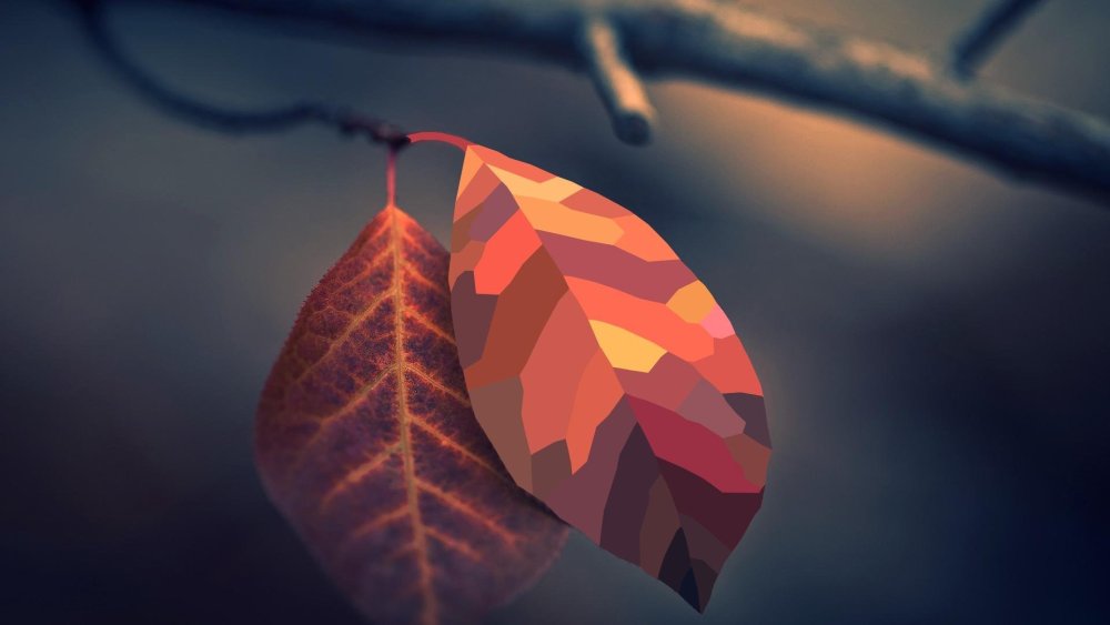 Осень Минимализм