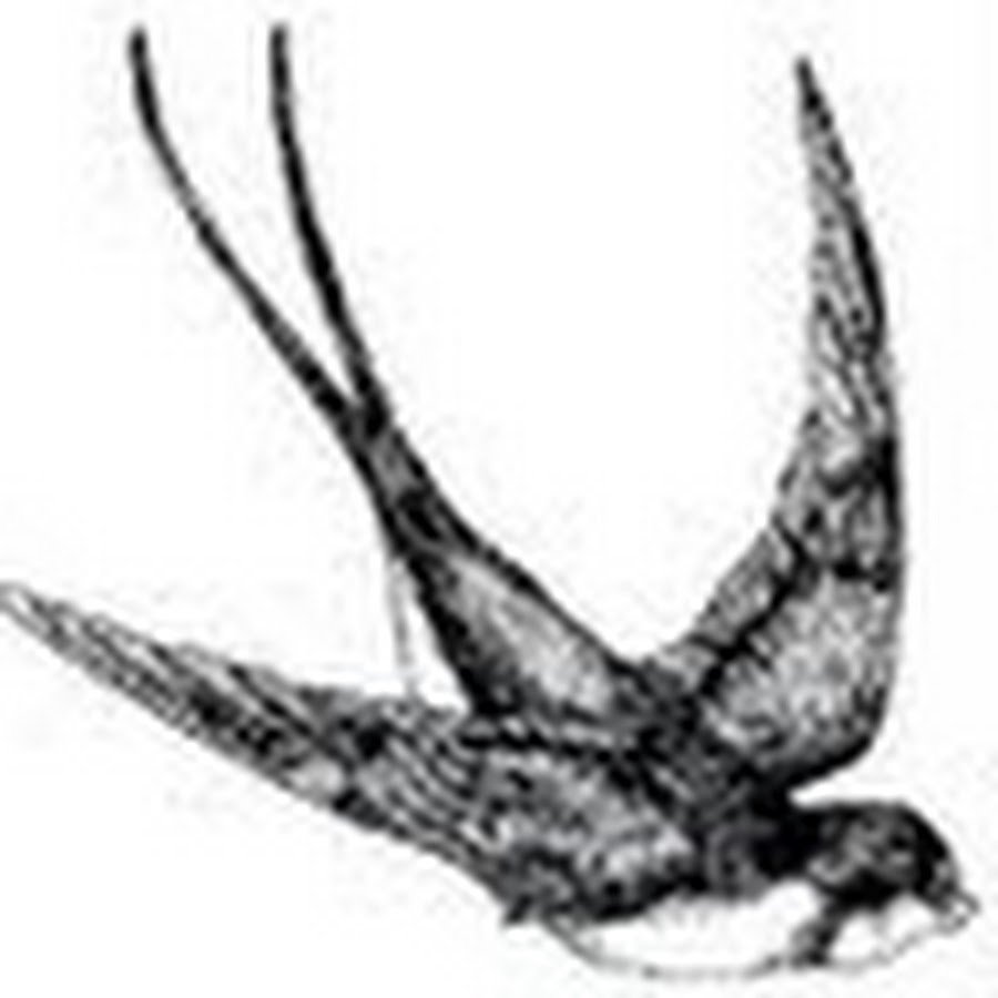 Перо ласточки рисунок для детей