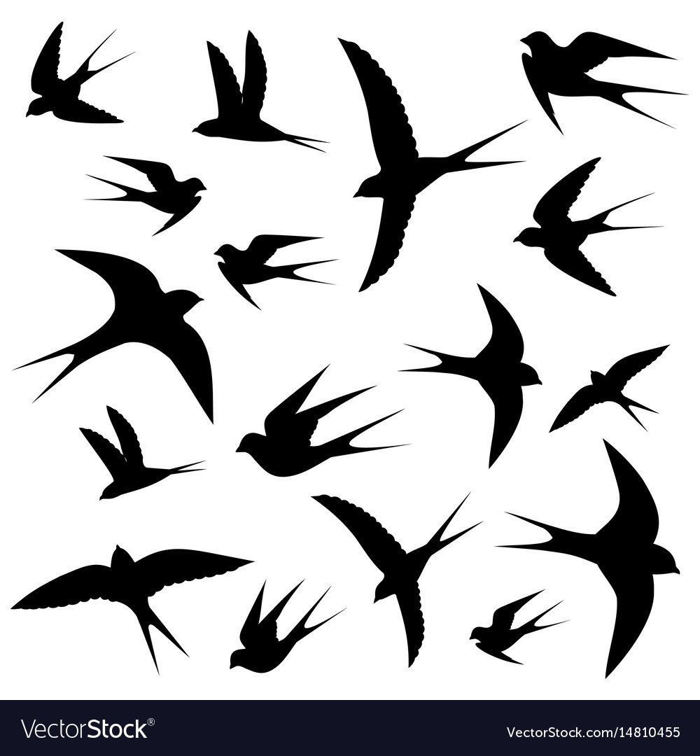 Ласточка орнамент