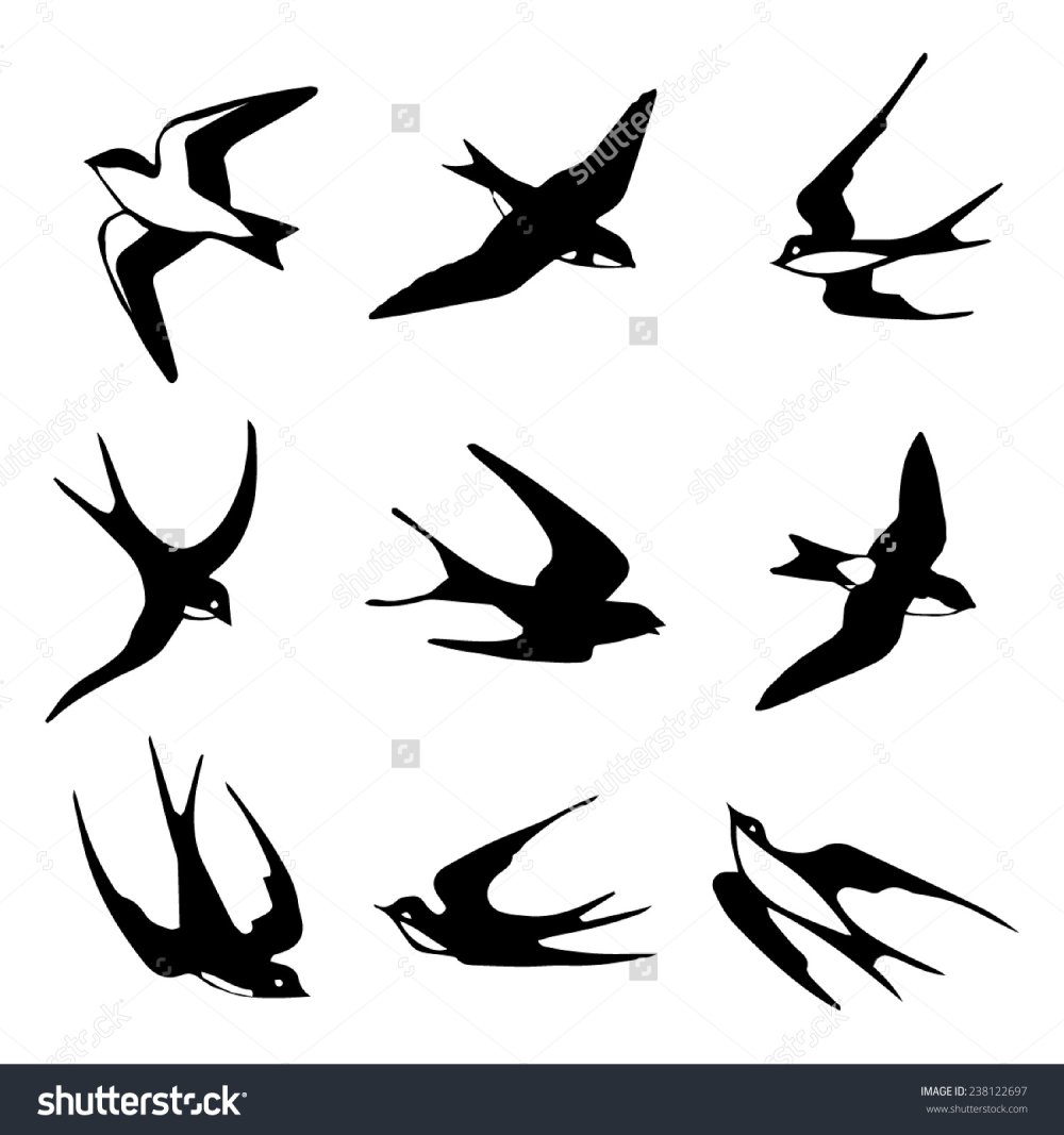 Ласточки силуэт эскиз