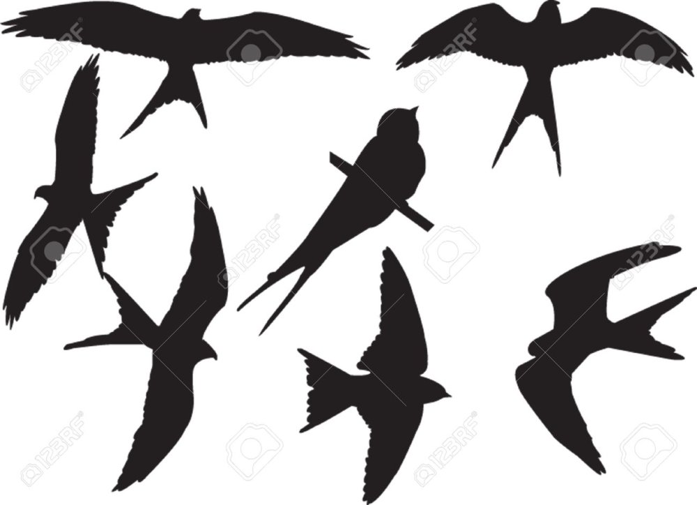 Силуэты птиц Стриж