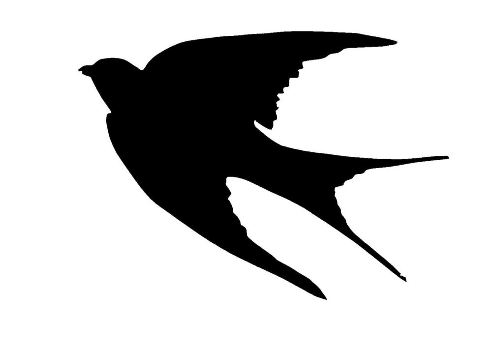 Черный силуэт птицы