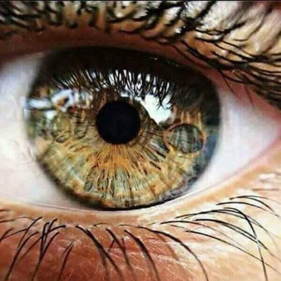 The Eyes of each sign глаза