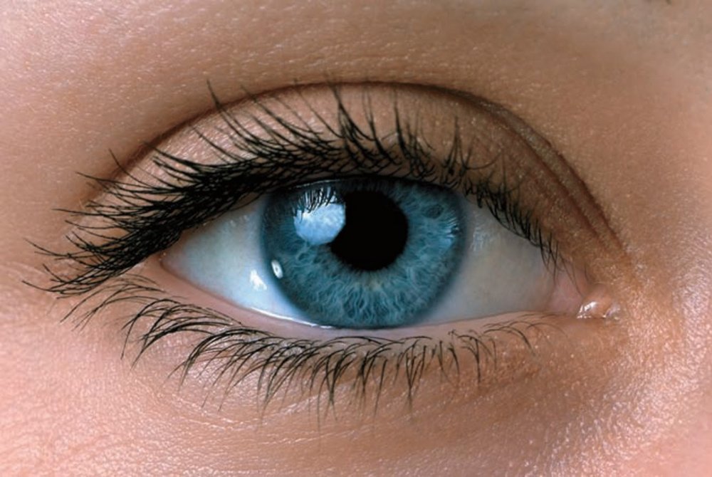 Цвет глаз будущего ребенка таблица