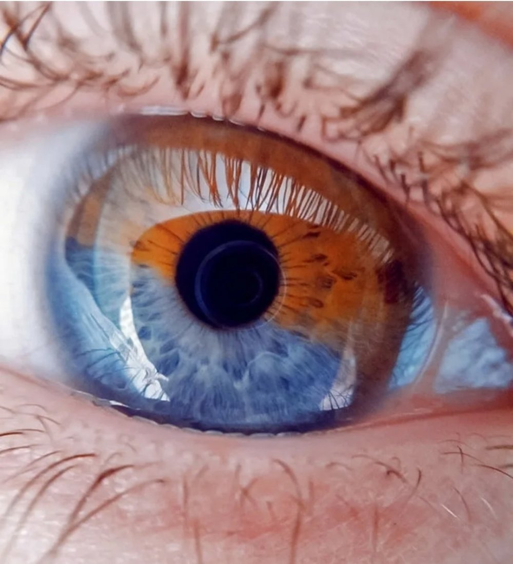 Цветные линзы