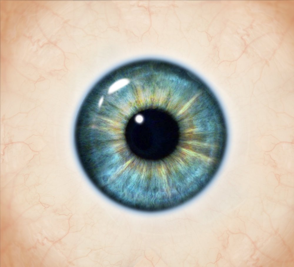 Центральная гетерохромия хамелеон