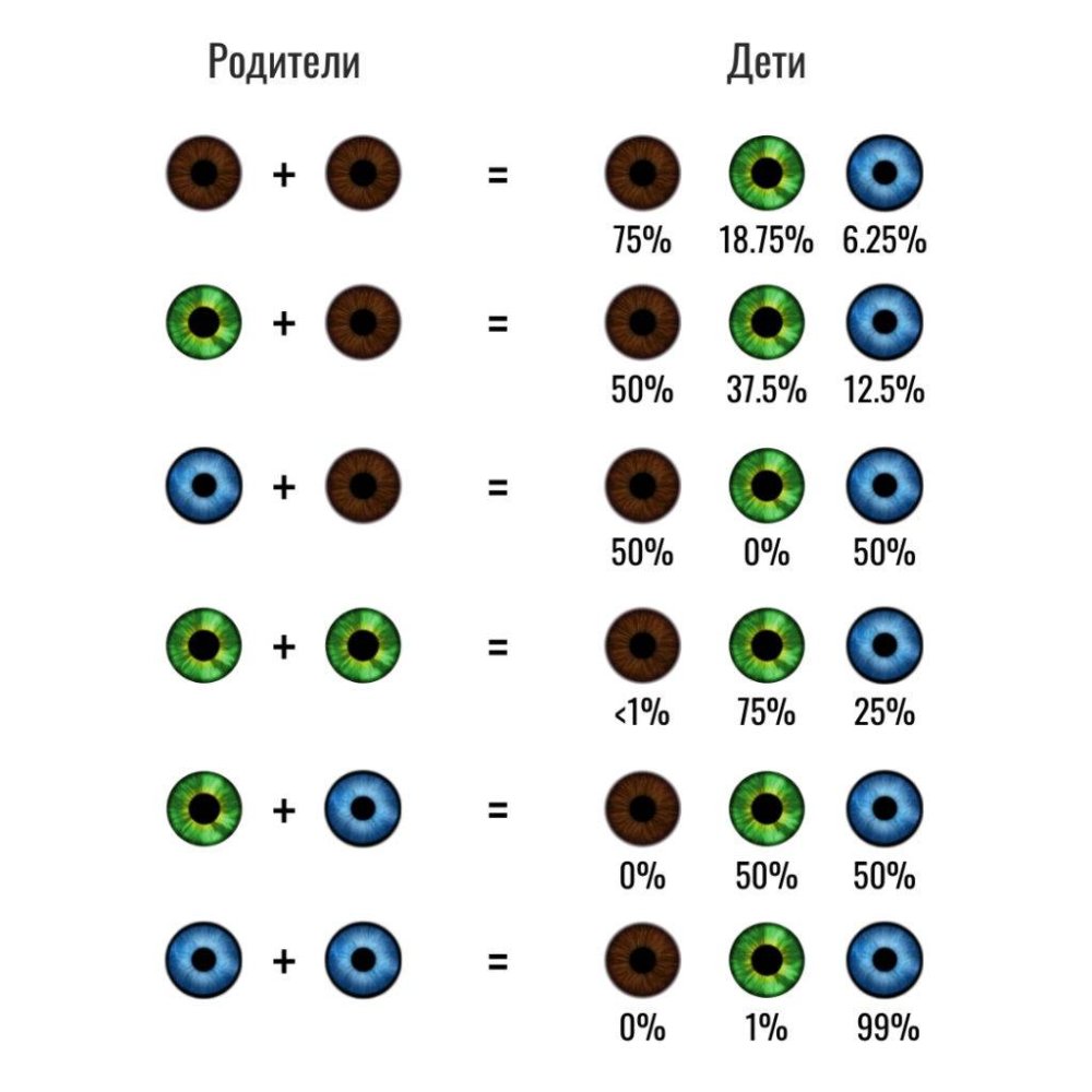 Гетерохромия радужной оболочки глаз
