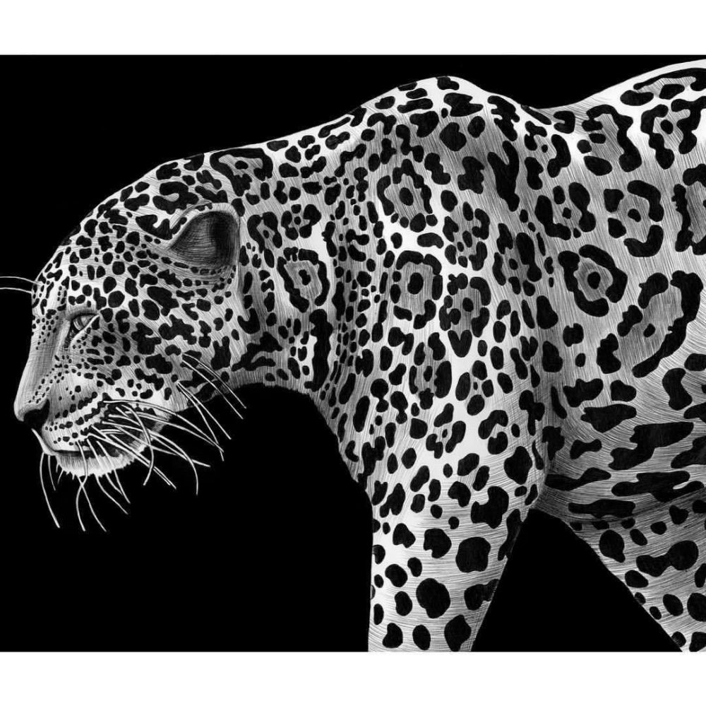 Звериные принты