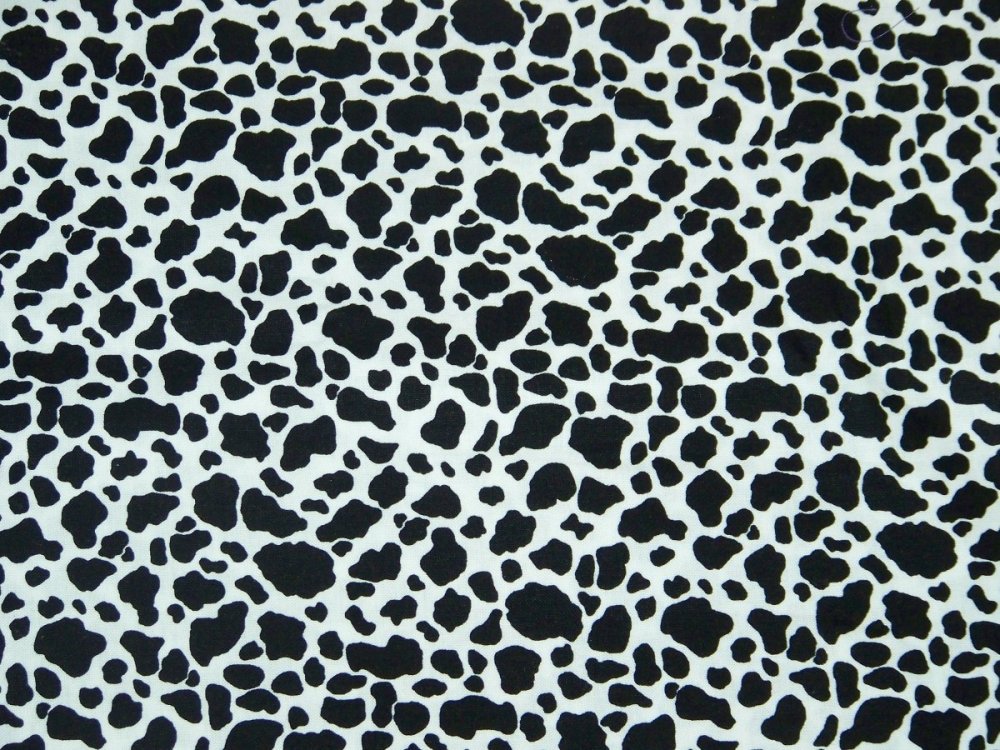 Дальневосточный леопард