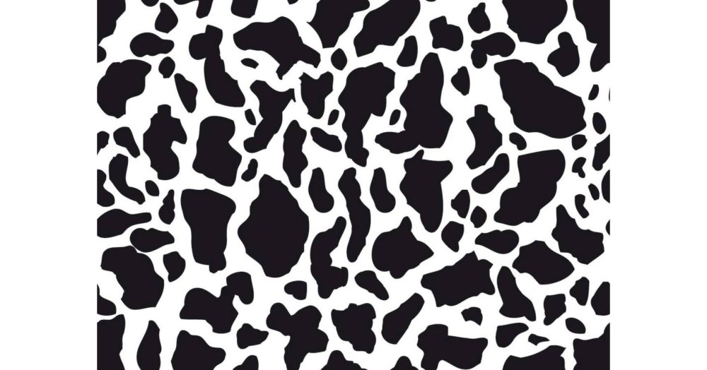 Черный гепард