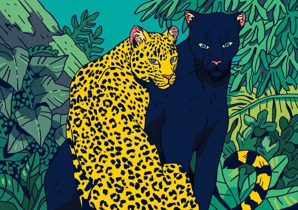 Сафари паттерн