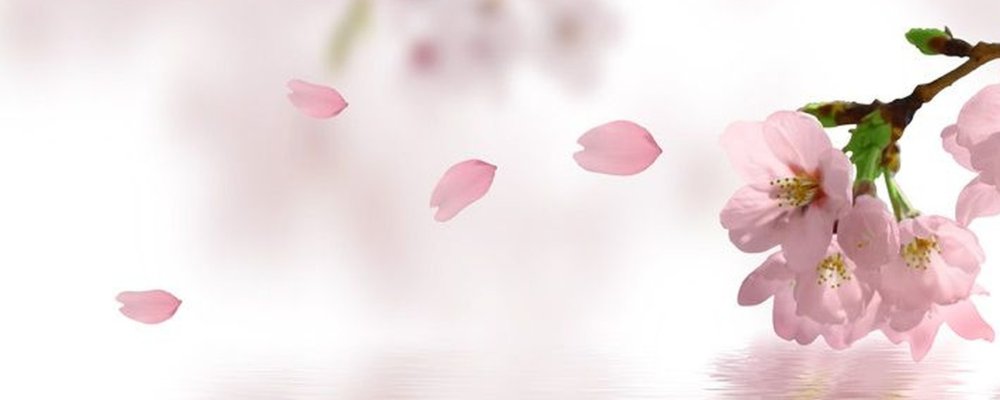 Весенние цветы горизонтальные