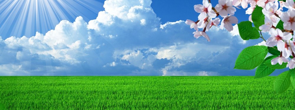 Весенний фотофон