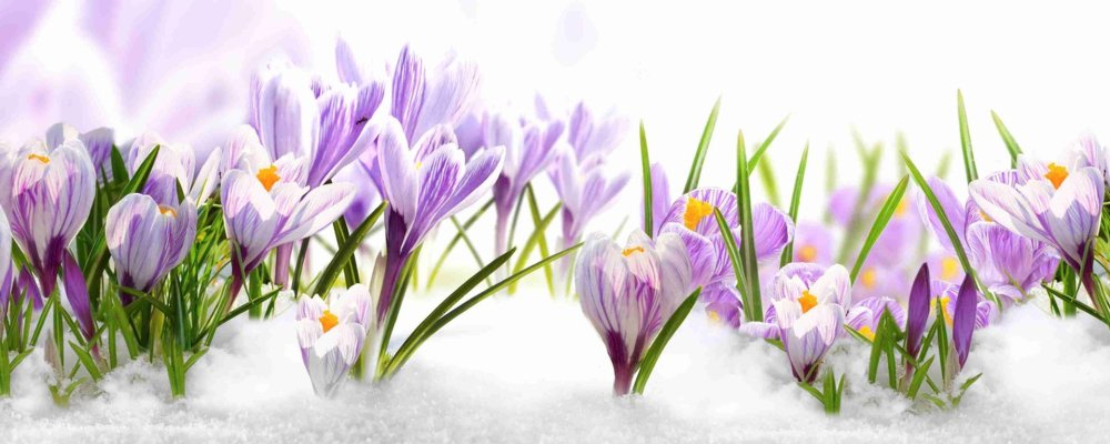 Красивый фон для обложки группы