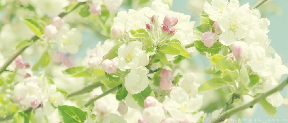 Шапки для твиттера Япония